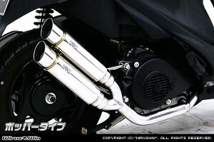 WirusWin AhXV125S Ag~bNcC}t[ |bp[^Cv/ECYEB