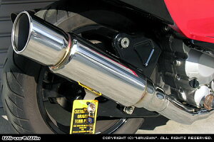 WirusWin XJCEFCu250(CJ43) t@[Xg}t[ /ECYEB