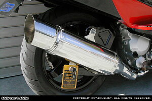 WirusWin XJCEFCu250(CJ43) GNV[h}t[ /ECYEB