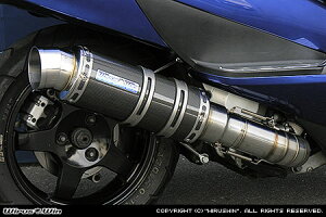 WirusWin XJCEFCu250(CJ43) v~A}t[ ubNJ[{dl /ECYEB