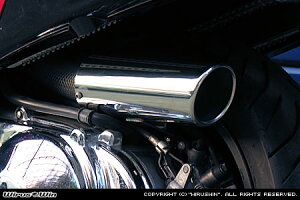 WirusWin XJCEFCu(CJ43) Lp[^Cv GAN[i[kit/ECYEB