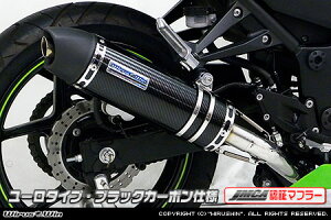 WirusWin jW Ninja250R(EX250K) _Ci~bN}t[ [^CviJMCAF؁j/ECYEB