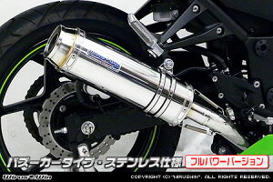 WirusWin jW Ninja250R(EX250K) _Ci~bN}t[ oY[J^Cvitp[o[Wj/ECYEB