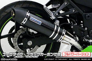 WirusWin jW Ninja250R(EX250K) _Ci~bN}t[ [^Cvitp[o[Wj/ECYEB