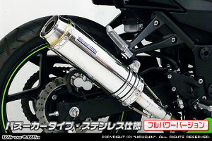 WirusWin jW Ninja250R(EX250K) XbvI}t[ oY[J^Cvitp[o[Wj/ECYEB