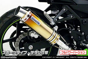 WirusWin jW Ninja250R(EX250K) XbvI}t[ X|[c^Cvitp[o[Wj/ECYEB