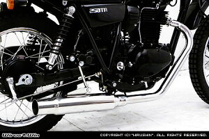 WirusWin 250TR(BA-BJ250FELu) OhV[v }t[ /ECYEB