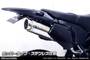 WirusWin D-TRACKER250EKLX250(LX250E,KLX250E) XbvI }t[ |bp[^Cv/ DgbJ[ ECYEB