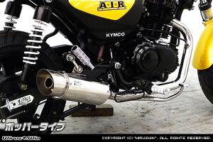 WirusWin LR A.I.R150(RT30HC) hbOoC\ }t[ |bp[^Cv/AIR KYMCO ECYEB