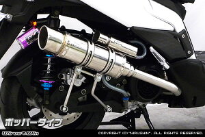 WirusWin LR RACING S125 C}t[ |bp[^Cv/KYMCO [VO GX ECYEB