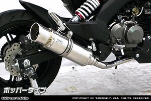 WirusWin Z125 PRO(2BJ-BR125H) C}t[ |bp[^Cv itGL][Xgj /ECYEC