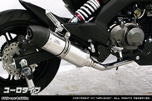 WirusWin Z125 PRO(2BJ-BR125H) C}t[ [^Cv itGL][Xgj /ECYEC