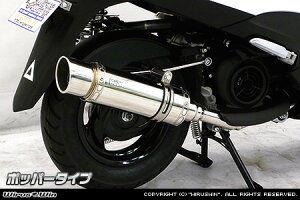 WirusWin アクシスZ(2BJ-SED7J) ロイヤルマフラー ポッパータイプ/ウイルズウィン