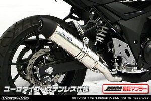 WirusWin GSX250R(2BK-DN11A) XbvI}t[(JMCAF) [^Cv /ECYEB