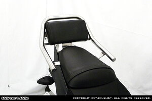 WirusWin GSX250R(2BK-DN11A) obNXgt ^fo[ /ECYEB