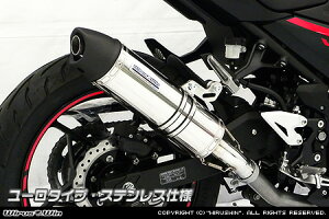 WirusWin Ninja250(2BK-EX250P)(8BK-EX250Y)�X���b�v�I���}�t���[ ���[���^�C�v /�j���W�� �E�C���Y�E�B��
