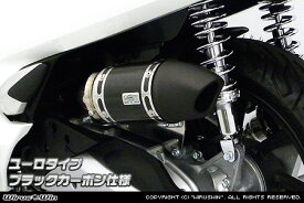 WirusWin PCX(2BJ-JF81) サイレンサー型 エアクリーナーkit ユーロタイプ ブラックカーボン仕様 /ウイルズウィン