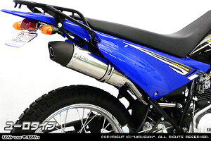 Wiruswin XTZ125(2016�N�`���f��) �X���b�v�I���}�t���[ ���[���^�C�v/�E�C���Y�E�B��