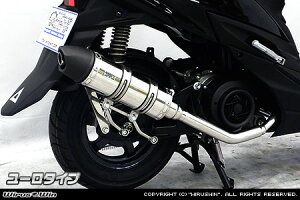 WirusWin XEBbV(2BJ-DV12B) C}t[ [^Cv /ECYEB