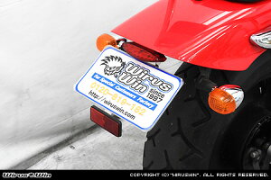 WirusWin G~l[^[250V(BA-VN250A) tF_[XKit /ECYEB