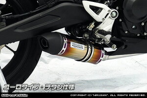 WirusWin CB250R(2BK-MC52) _Ci~bN}t[ [^Cv tGL][Xg `^dl /ECYEB
