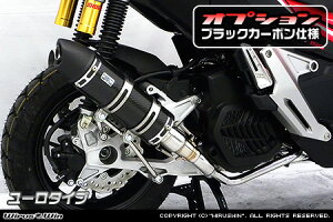 WirusWin ADV150 C}t[ [^Cv ubNJ[{dl / ECYEB