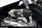 WirusWin PCX 8BJ-JK05 サイレンサー型エアクリーナーkit ユーロタイプ　ブラックカーボン仕様 / ウイルズウィン