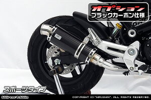 WirusWin O (MSX125) 2021N3`(3^) XbvI}t[ ubNJ[{dl@/ ECYEB