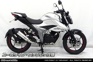 WirusWin ジクサー150 (2BK-ED13N) ダイナミックマフラー ユーロタイプ ステンレス仕様 / ウイルズウィン