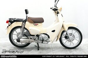 WirusWin NXJu110(8BJ-JA60) C}t[ [^Cv XeXdl /ECYEB