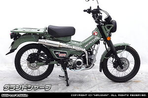 WirusWin CT125 n^[Ju 8BJ-JA65 OhV[v}t[ / ECYEB