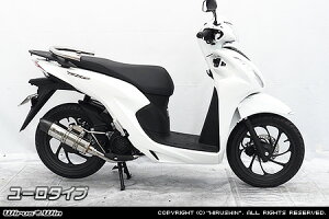 WirusWin ディオ110(8BJ-JK03) ロイヤルマフラー ステンレス仕様 ユーロタイプ /ウイルズウィン