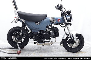 WirusWin _bNX125(8BJ-JB04) cCe[_E}t[ XeXdl /ECYEB