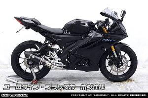 WirusWin YZF-R15 (8BK-RG86J) ダイナミックマフラー ブラックカーボン仕様 ユーロタイプ /ウイルズウィン