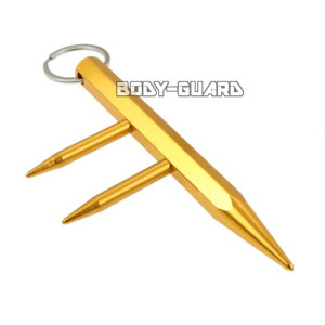 NINJAL[`F[ ^Cv2 IW jW E L[z_[ L[O y p[cO\ CeA N{^ c{ g gpi gp _ ^  gObY hƗpi