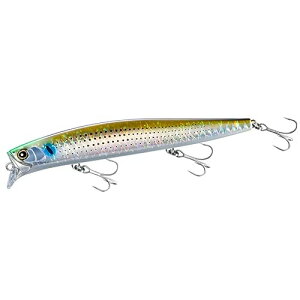 V}m EXS JE^[EFCN 160FtbVB XM-116W #002A{RmV 