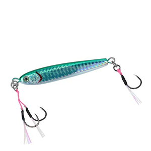 _C(DAIWA) ^WO TGxCg SLJ tbNt 80g FPHO[Vo[ A[ 