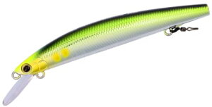 _C(DAIWA) A[ AYUING(ACO)~m[110SF bLMMA 