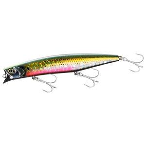 V}m(SHIMANO) V[oXA[ GNXZX jJ 125F WFbgu[Xg XL-112X 008 AubN{ 