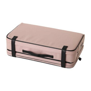 _C(DAIWA) ւpNbV LT(D)TN 