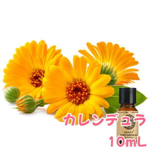 Jf |bg}[S[h LZJ  10mLA} GbZVIC A}IC A}Xg[ A}fBt[U[ VR Y  lCLO bN