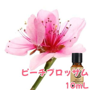 s[`ubT ̉  10mLA} GbZVIC A}IC A}Xg[ A}fBt[U[ VR Y  lCLO bNX XgX  