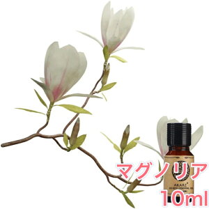 yz}OmA (N ؘ@)  10mlA} GbZVIC A}IC A}Xg[ A}fBt[U[ VR t[  Y F [tO