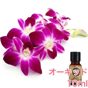 yzI[Lbh ( )  10mlA} GbZVIC A}IC A}Xg[ A}fBt[U[ VR t[  Y F [tOX