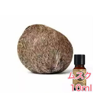 XN AubgV[h  10mlA} GbZVIC A}IC A}Xg[ A}fBt[U[ IG^ GL]`bN Y F [tOX