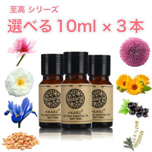 V[Y Iׂ鐸 10mL×3{ ZbgA} GbZVIC A}IC A}Xg[ A}fBt[U[ VR t[ n[u  EbfB  oT Y F