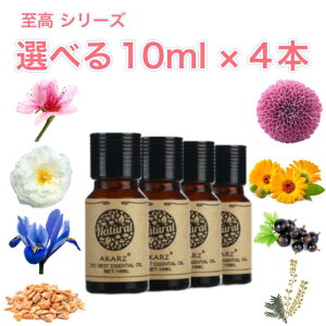 V[Y Iׂ鐸 10mL×4{ ZbgA} GbZVIC A}IC A}Xg[ A}fBt[U[ VR t[ n[u  EbfB  oT Y F