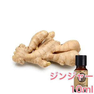 WW[  10mlA} GbZVIC A}IC A}Xg[ A}fBt[U[ VR XC[g XpCX Y F [tOX