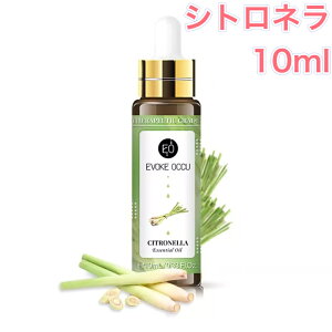 Vgl  10ml X|Cgt A} GbZVIC A}IC A}Xg[ A}fBt[U[ VgX k Y F [tOX