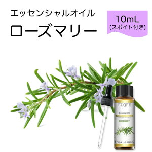 [Y}[ Rosmarinus officinalis X|Cgt 10mLEUQEE i PREMIUM GRADE n[u  GbZVIC  A}IC Y  VR